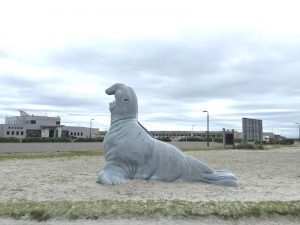 オホーツクとっかりセンター