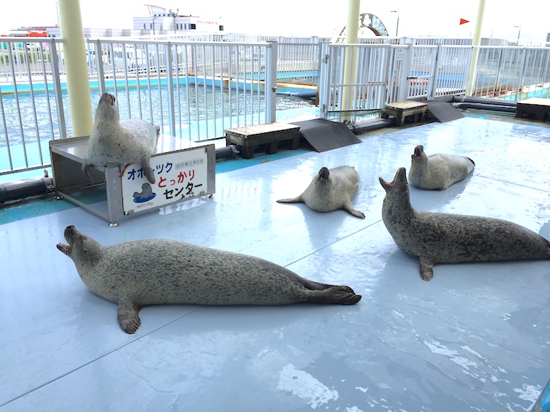 オホーツクとっかりセンター