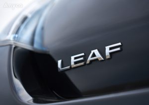 LEAF