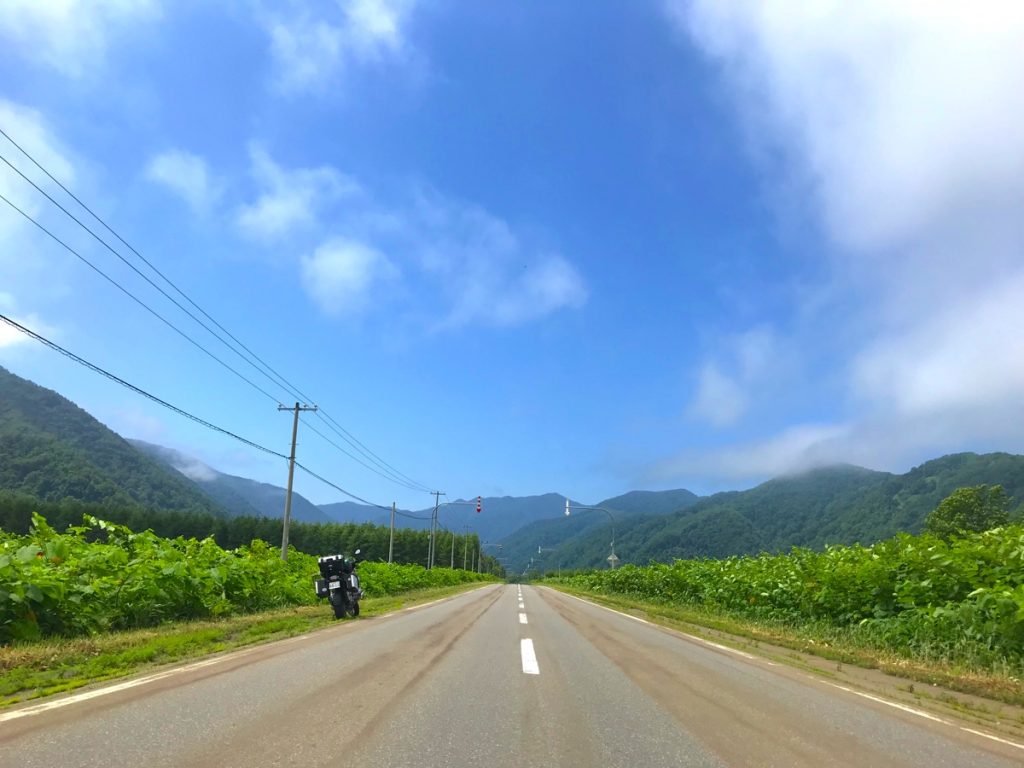 国道236号線 天馬街道