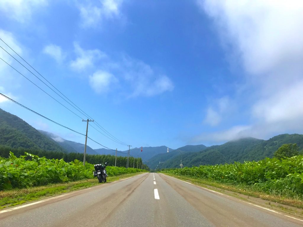 国道２３６号線 天馬街道