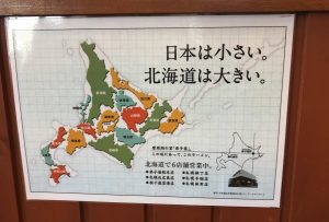デッカいどう北海道