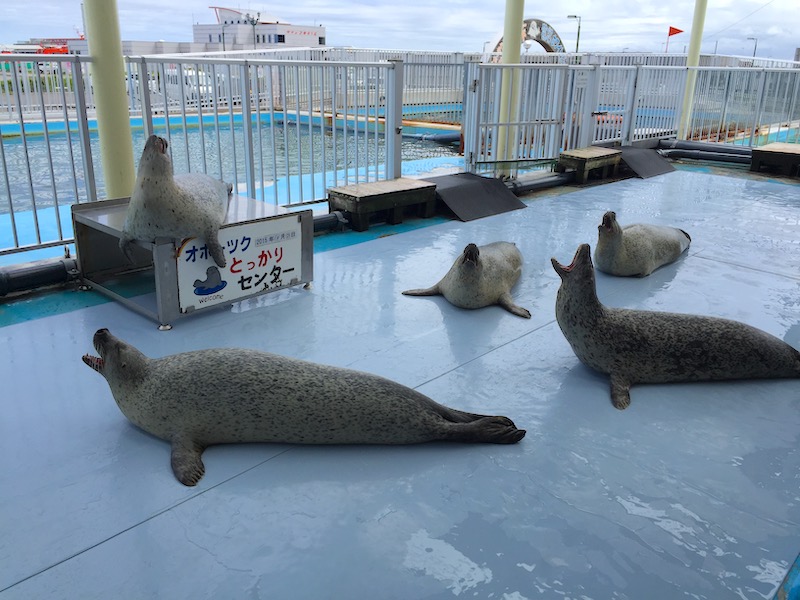 オホーツクとっかりセンター