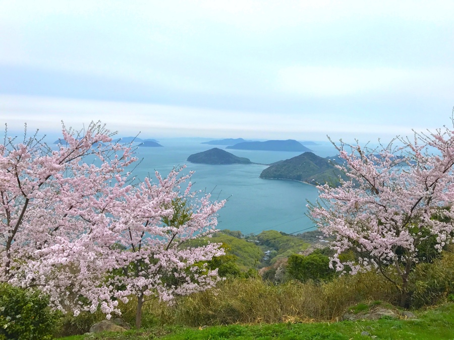 瀬戸内海