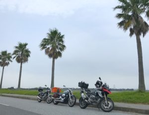 千葉フォルニア