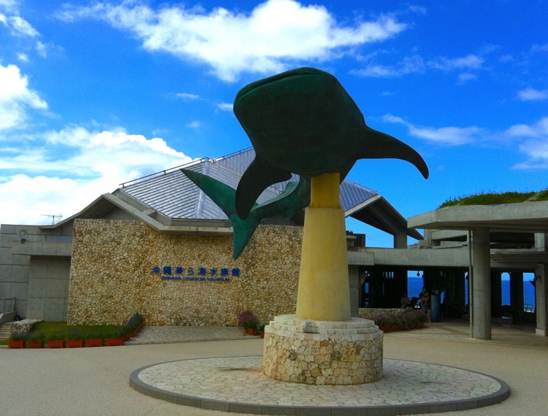 美ら海水族館