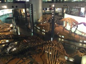 福井県立恐竜博物館