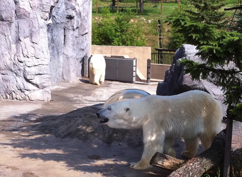 旭山動物園