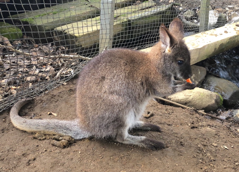 ノースサファリサッポロ