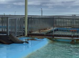 オホーツクとっかりセンター