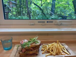 バードウォッチングカフェ