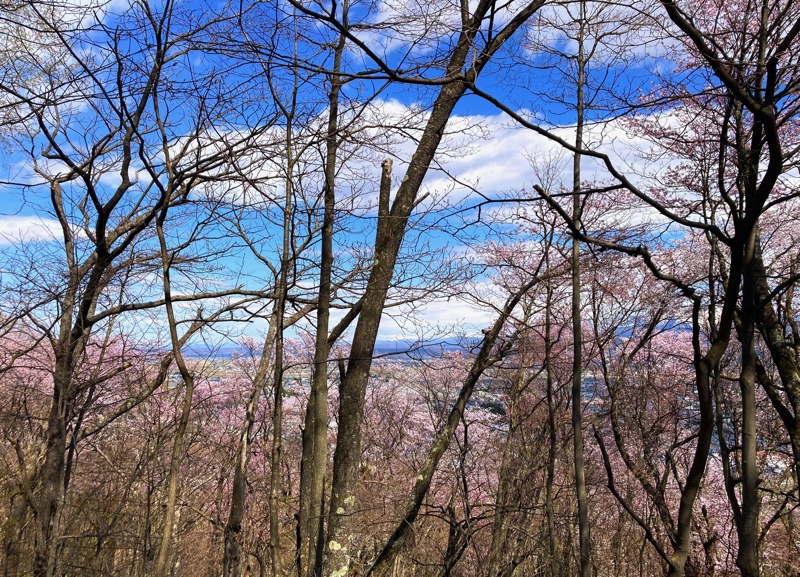 3,000本は素直に凄い！