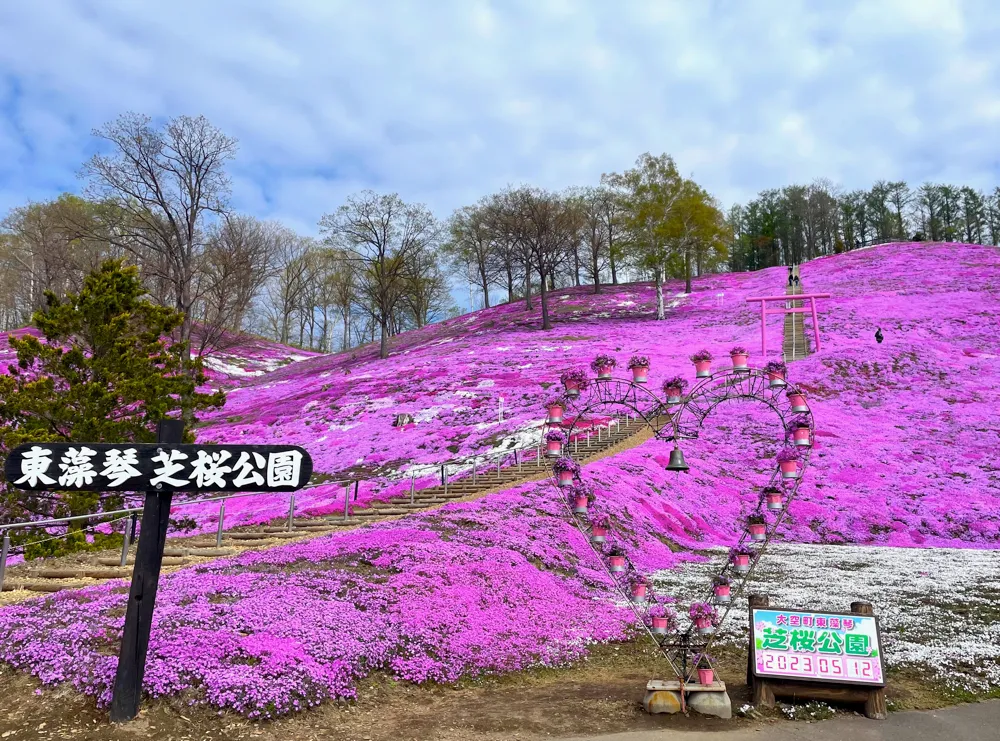 ひがしもこと芝桜公園