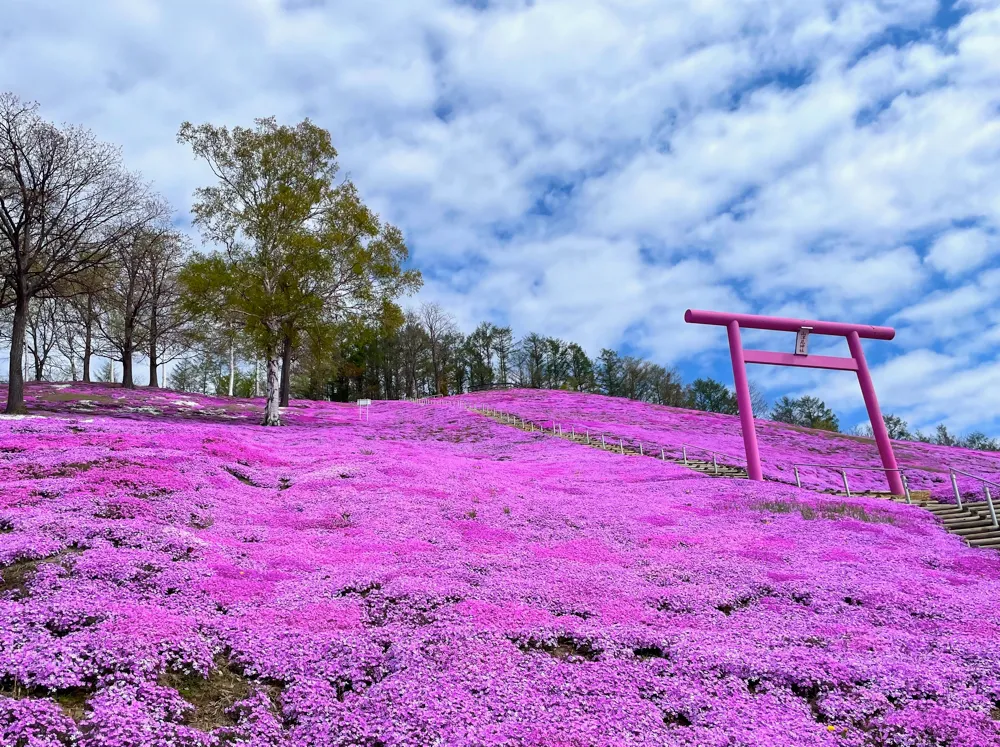 ひがしもこと芝桜公園