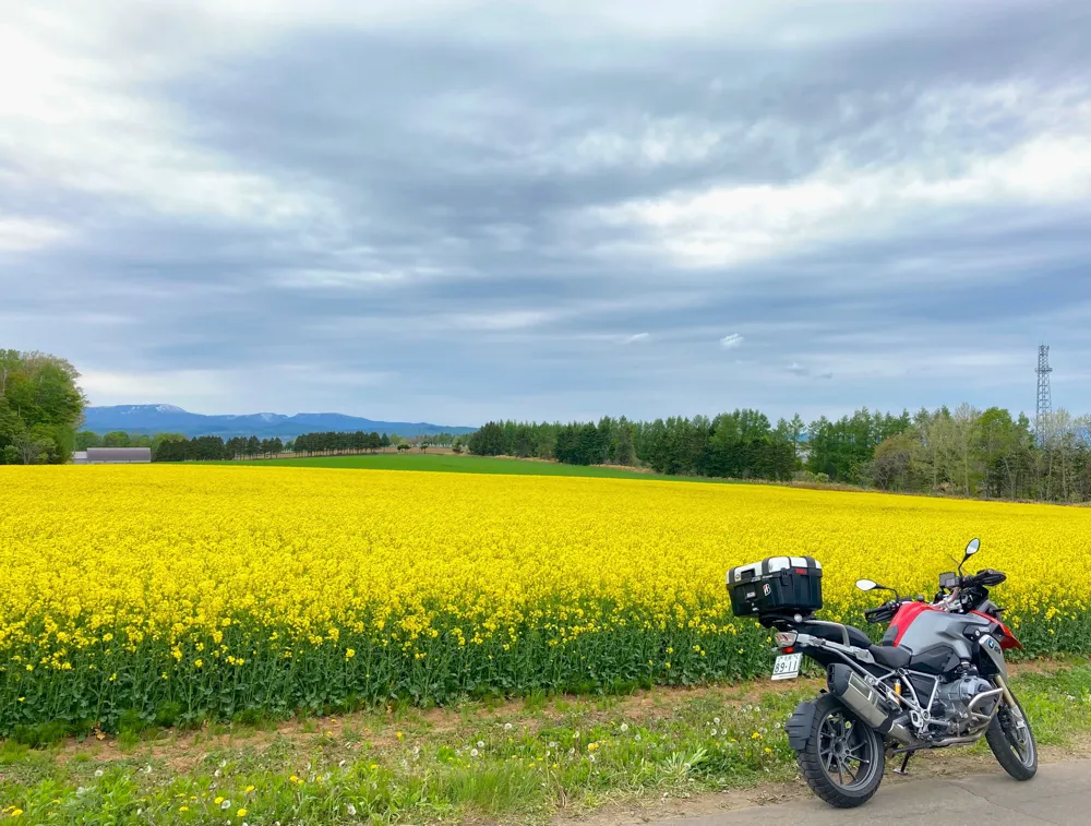 たきかわ菜の花まつり