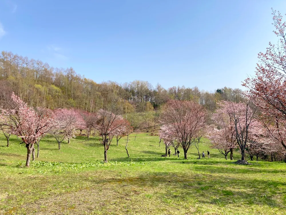 にわ山森林自然公園 