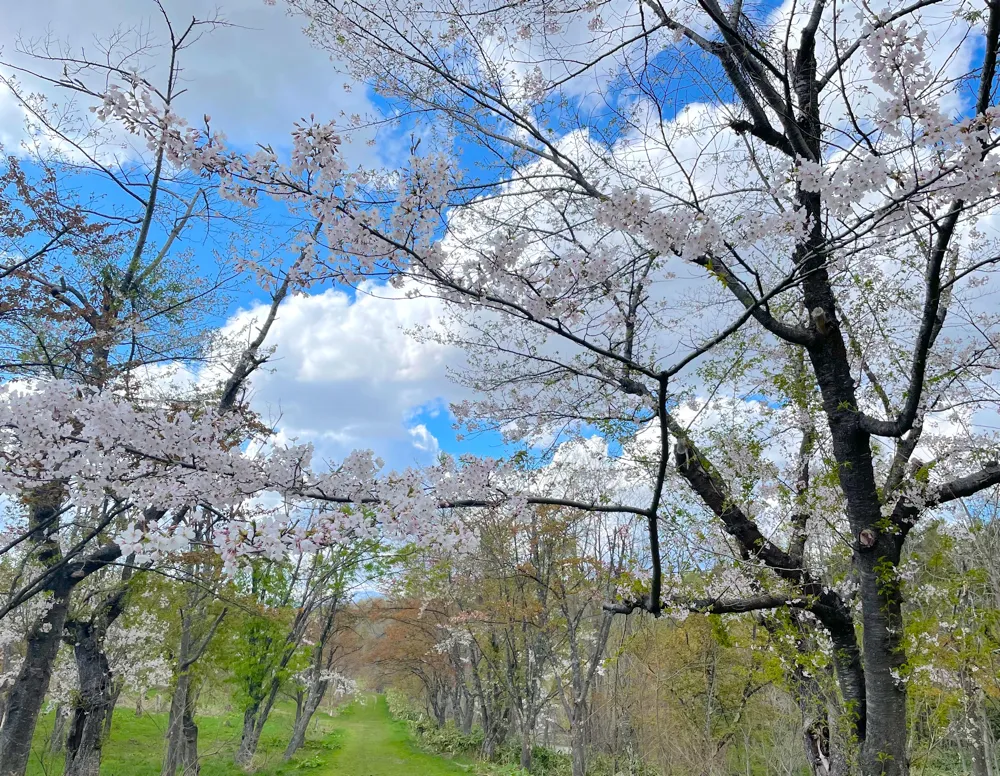 東明公園