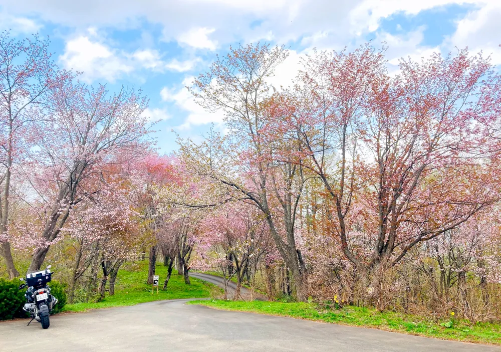 にわ山森林自然公園 